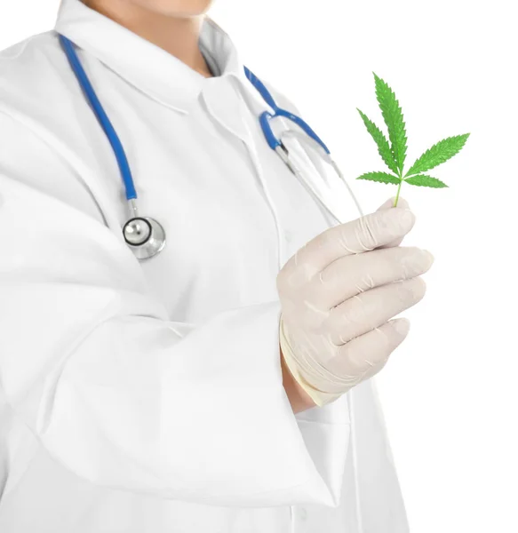 Doctor holding hemp leaf — Stock Photo, Image