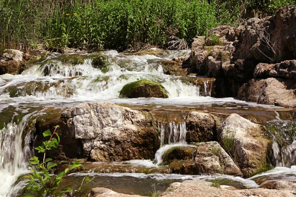Beautiful view of mountain stream — Stock Photo, Image