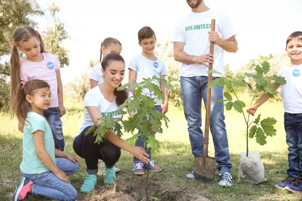 Parkta ağaç dikme çocuklu genç gönüllüler — Stok fotoğraf