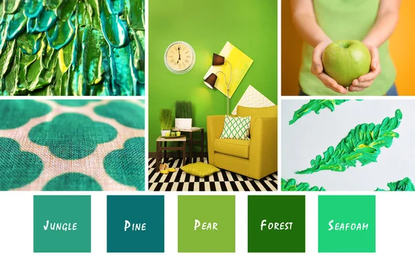 Stylish collage with green color — Stock Photo, Image