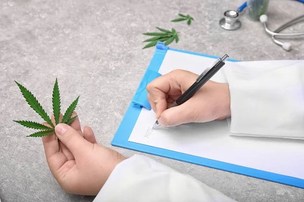 Médico segurando folha de cânhamo — Fotografia de Stock