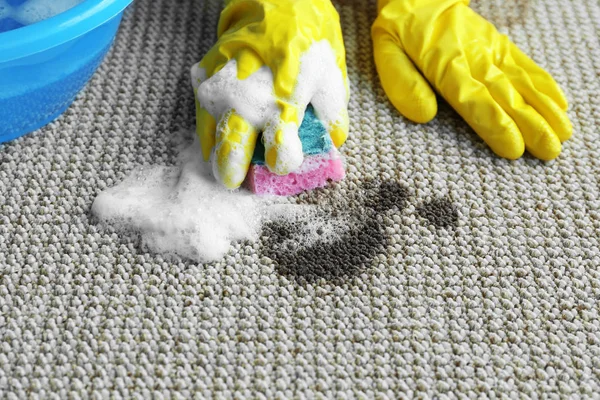 Manos limpiando una alfombra — Foto de Stock