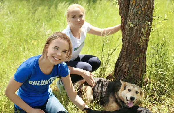 Ehrenamtliche Frauen sitzen auf Gras und streicheln obdachlose Hunde aus Tierheim — Stockfoto