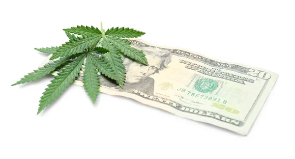 Gröna cannabisblad och dollar — Stockfoto