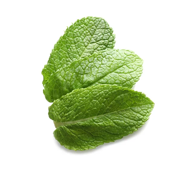 Taze nane yaprakları  