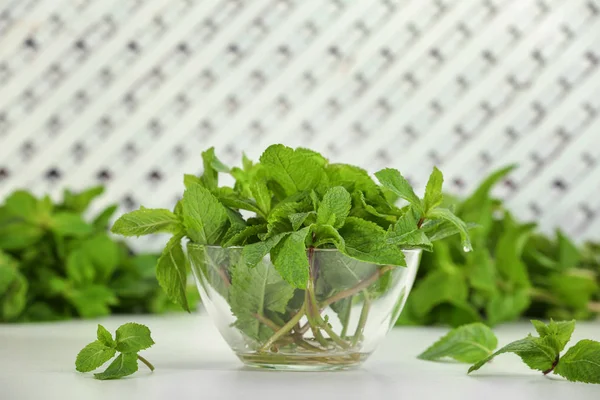 Fresh green mint — Stock Photo, Image