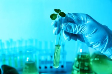 üretim tesisi ile test tüpü tutan el 