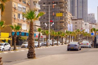 Yol güzel şehirde palmiye ağaçları ile