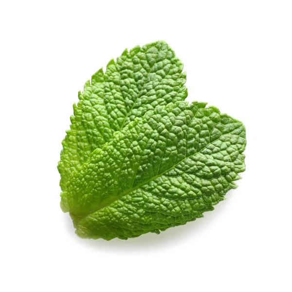 Taze nane yaprakları  