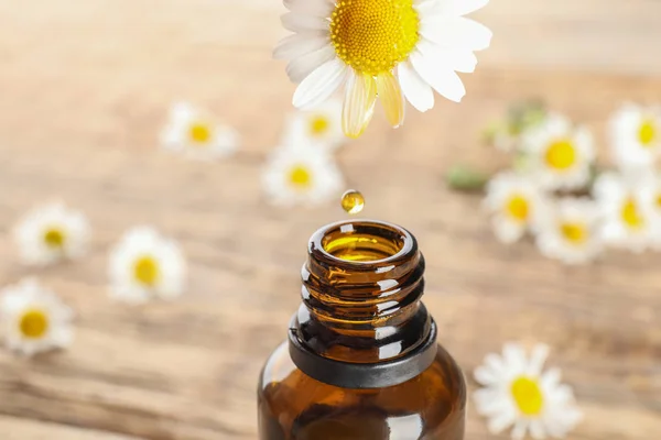 Botella de aceite esencial y flor de manzanilla — Foto de Stock