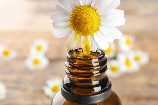 Flaska eterisk olja och kamomill blomma — Stockfoto