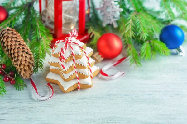 圣诞自制饼干 — 图库照片