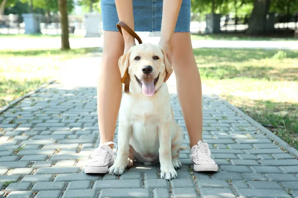Kobieta z Labrador Pies — Zdjęcie stockowe