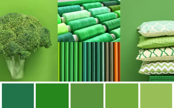 Stylish collage with green color — Stock Photo, Image