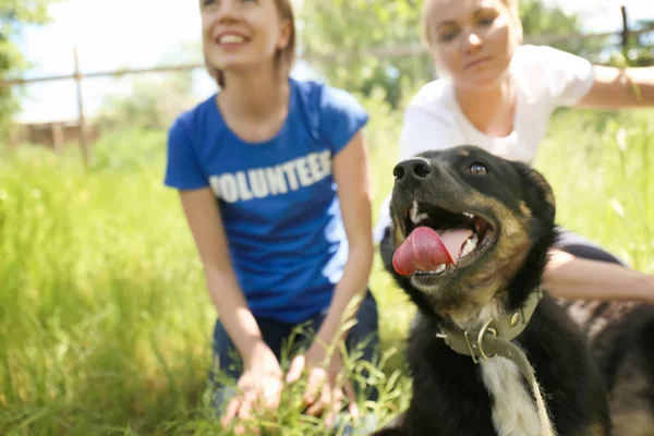 Perro sin hogar del refugio y voluntarias al aire libre —  Fotos de Stock