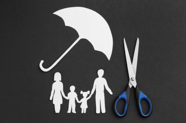 hayat sigortası kavramı