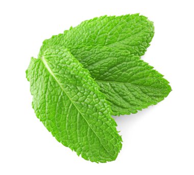 Taze nane yaprakları