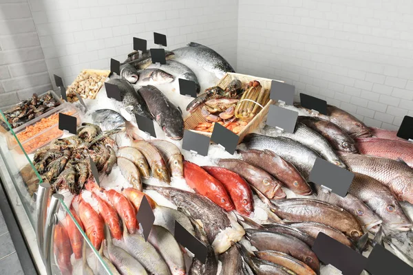 Fresh fish in supermarket — Stock Photo, Image