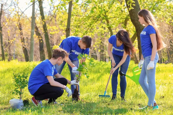 Grupo de jóvenes voluntarios en el parque en un día soleado — Foto de Stock