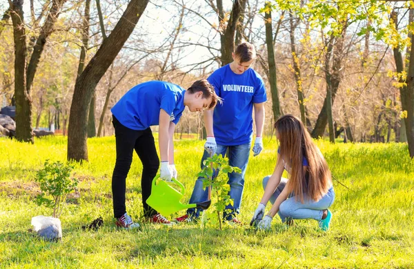 Grupo de jóvenes voluntarios en el parque en un día soleado — Foto de Stock