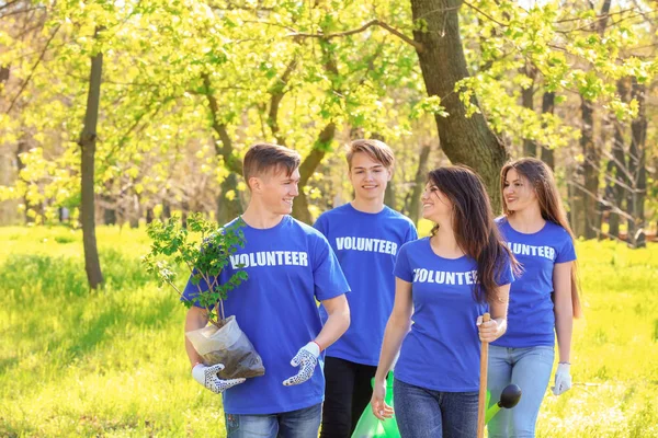 Groep van jonge vrijwilligers in park op zonnige dag — Stockfoto