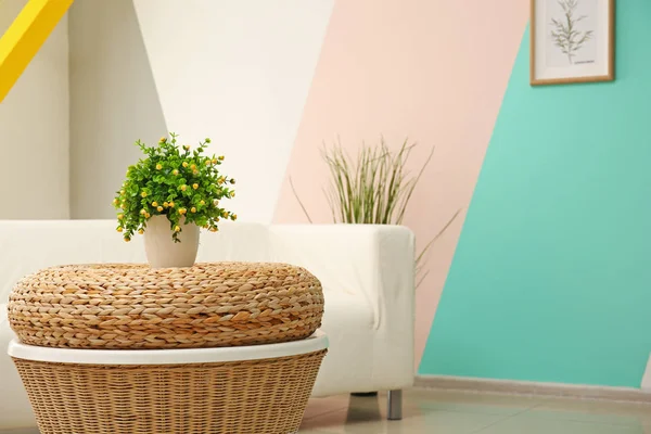 Proutěný stůl s rostlinou ve světle moderní pokoj — Stock fotografie