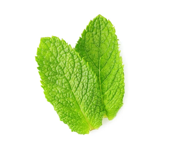 Foglie di menta fresca — Foto Stock