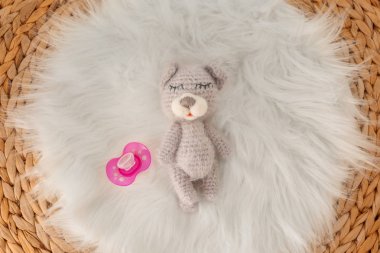 Şirin bebek oyuncak ve kabarık ekose üzerinde emzik