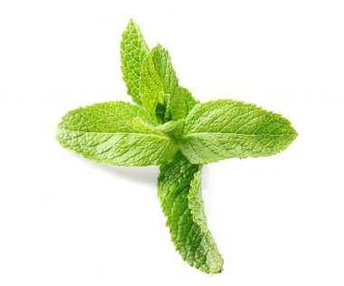 Taze nane yaprakları