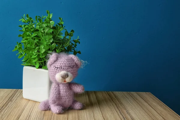 Şirin örgü oyuncak ayı ve houseplant ahşap masa renk arka plan üzerinde