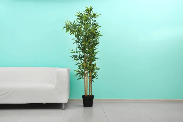 白沙发和植物近彩墙 — 图库照片