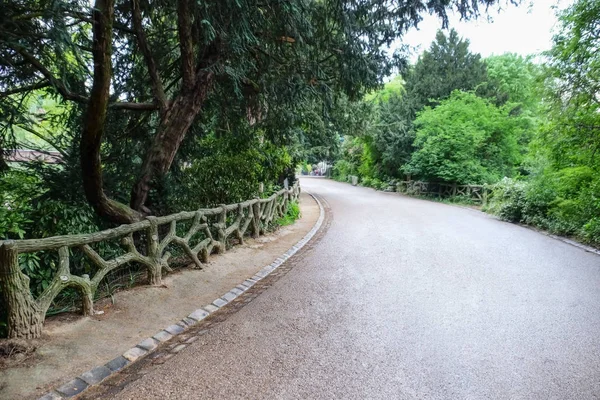 Bellissimo paesaggio con strada asfaltata e alberi in parco — Foto Stock