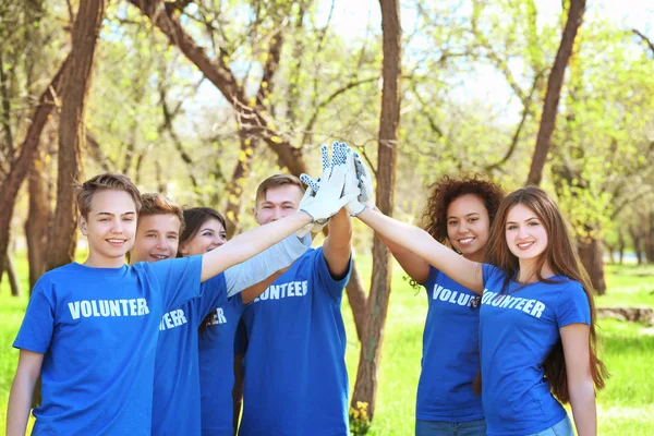 Grupo de jóvenes voluntarios en el parque en un día soleado — Foto de Stock