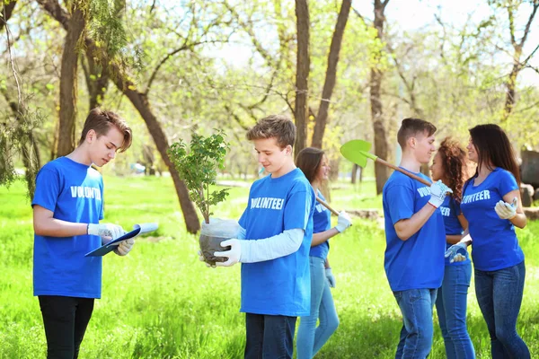 Genç gönüllüler Park güneşli günde gurup
