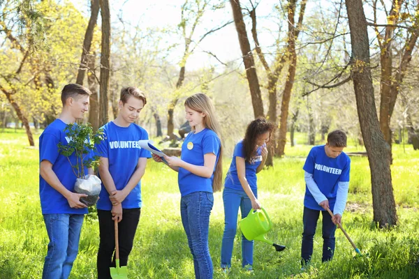 Groep van jonge vrijwilligers in park op zonnige dag — Stockfoto