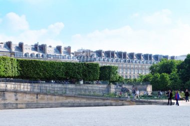 Güneşli güzel park