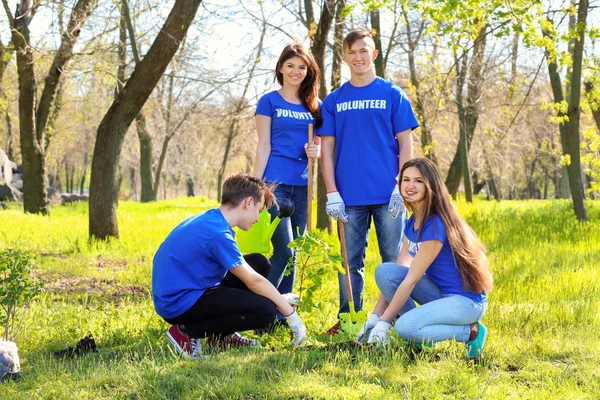 Grupo de jóvenes voluntarios en el parque en un día soleado —  Fotos de Stock