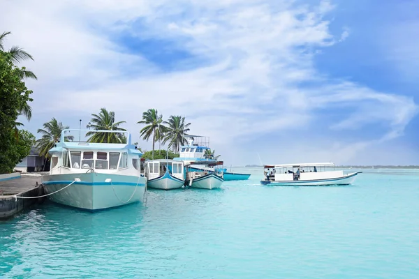 tekne tropikal tatil