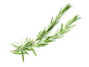 Taze aromatik biberiye