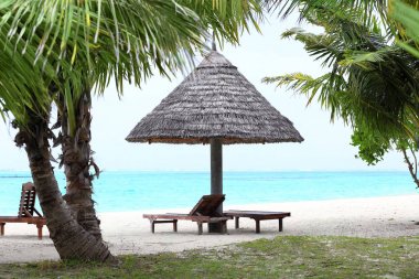 Deniz plaj tropikal tatil