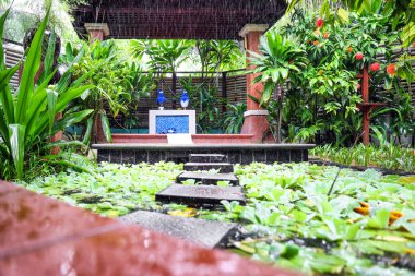 Resort spa salon banyo