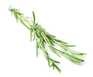 Taze aromatik biberiye