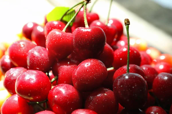 Cerezas frescas maduras — Foto de Stock