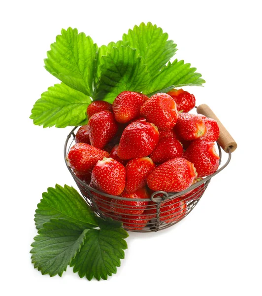 Delicious fresh strawberry — Stock Photo, Image