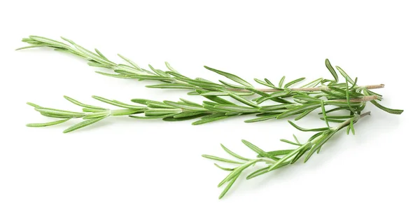 Herbes de romarin frais — Photo