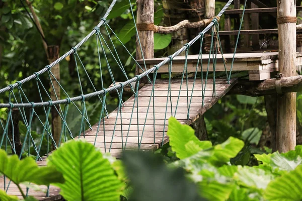 Ponte de suspensão no parque no resort tropical — Fotografia de Stock