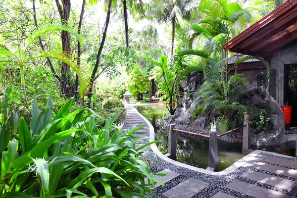 Parque con plantas tropicales — Foto de Stock