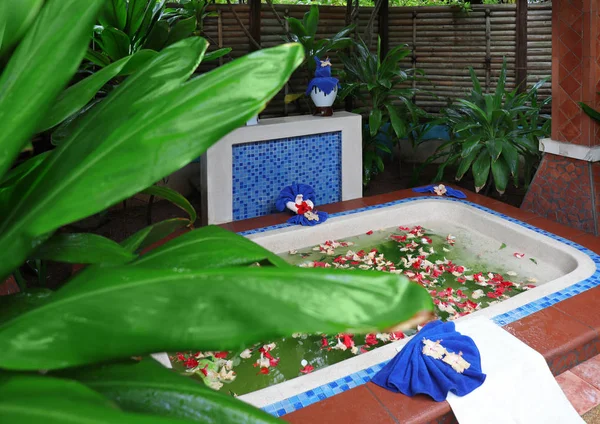 Bath with flower petals in spa salon at resort