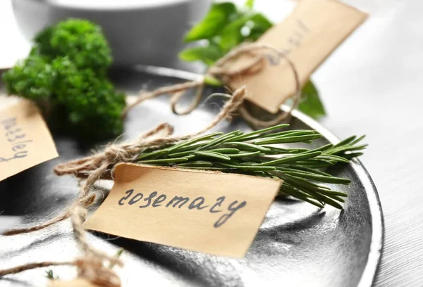 Tray with collection of herbs — Stock Photo, Image