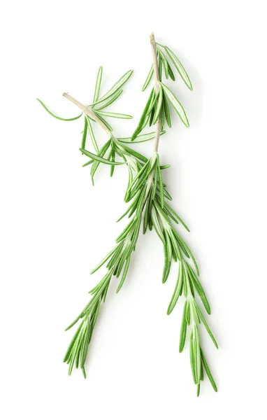 Herbes de romarin frais — Photo